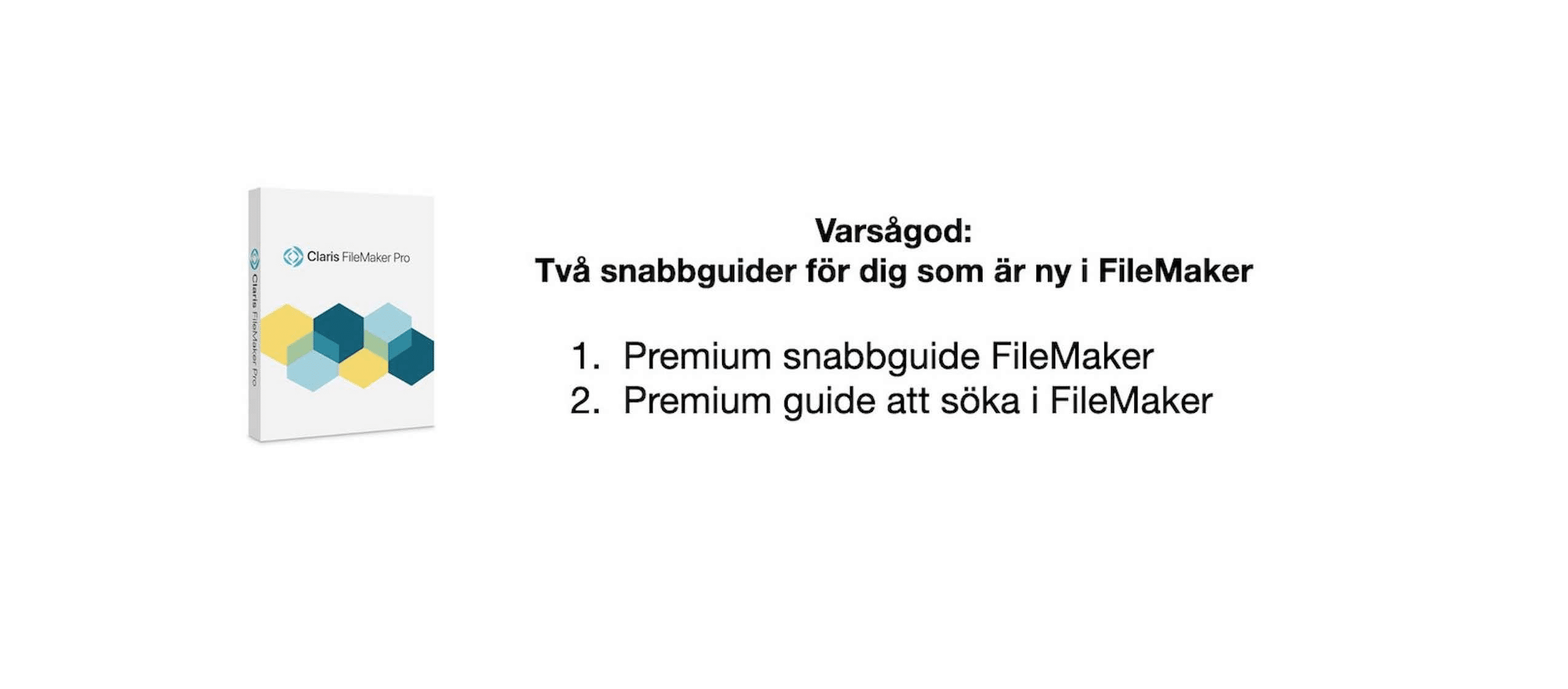 Läs mer om artikeln Varsågod: Två snabbguider för dig som är ny med FileMaker